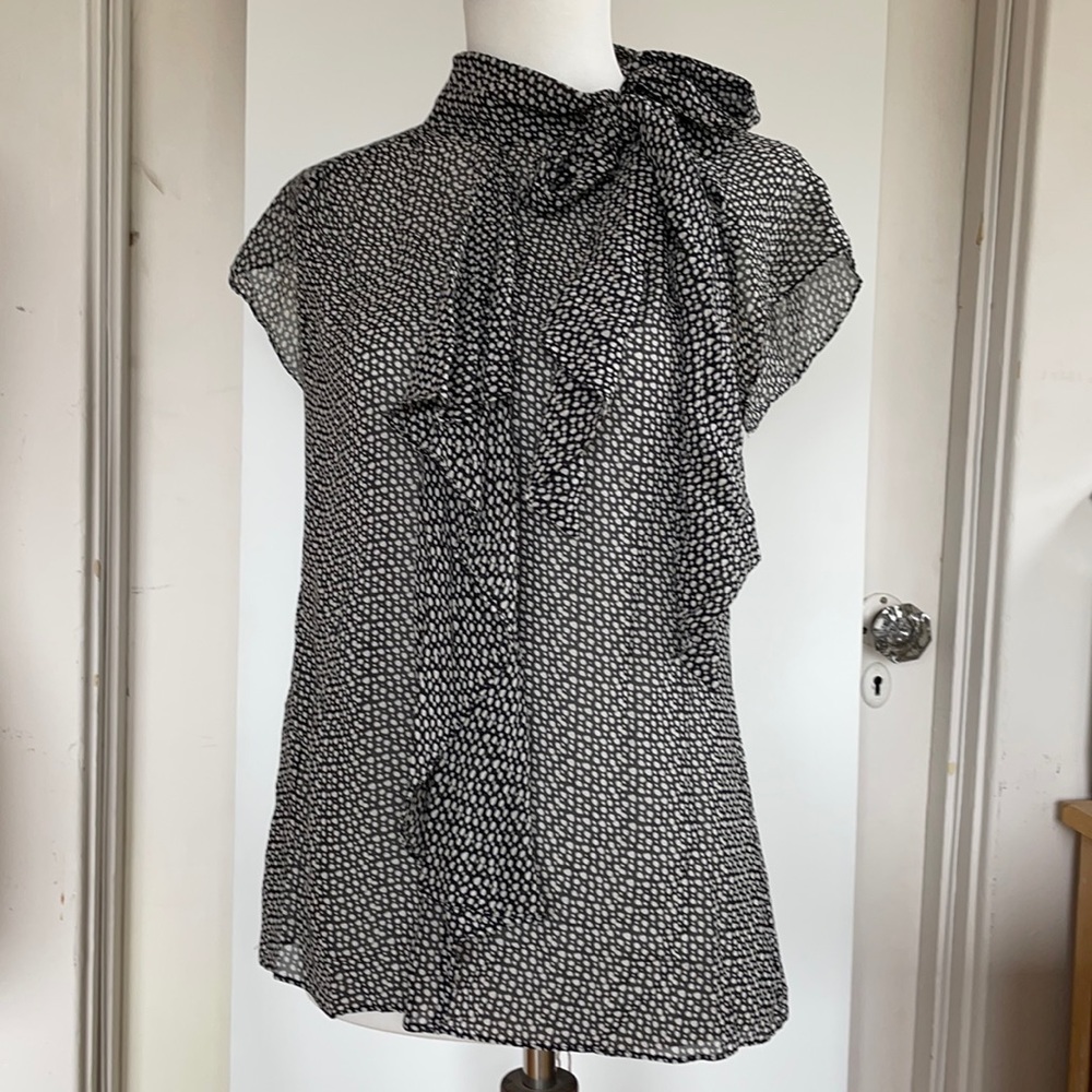 Sheer silk ruffle sleeveless blouse